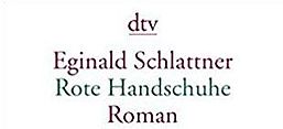 Cover des Buches "Rote Handschuhe", Deutscher Taschenbuchverlag