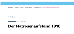 Screenshot der Website 