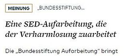 Illustrativ ohne inhaltliche Bedeutung: Screenshot der Website von Welt online mit dem Titel des Meinungsartikels der hier im weiteren Thema ist