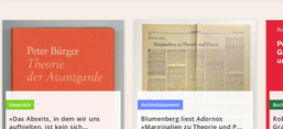 Screenshot der Projektwebsite