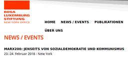 Screenshot der Website des New Yorker Büros der RLS