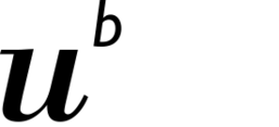 Logo der Universität Bern