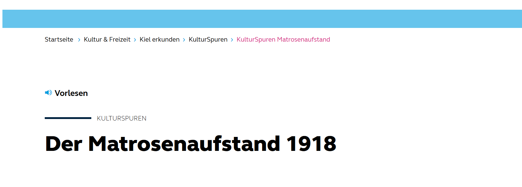 Screenshot der Website 